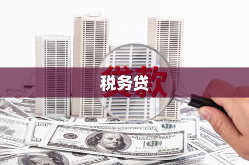 普陀税务贷