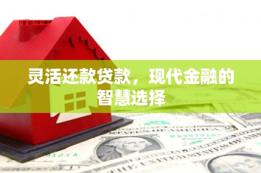 普陀灵活还款贷款，现代金融的智慧选择