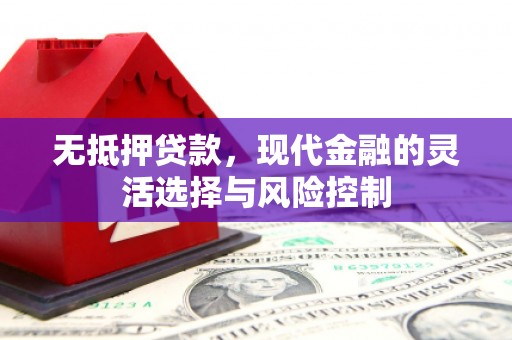 普陀无抵押贷款，现代金融的灵活选择与风险控制