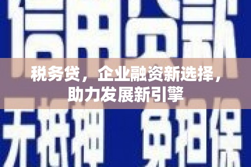 普陀税务贷，企业融资新选择，助力发展新引擎