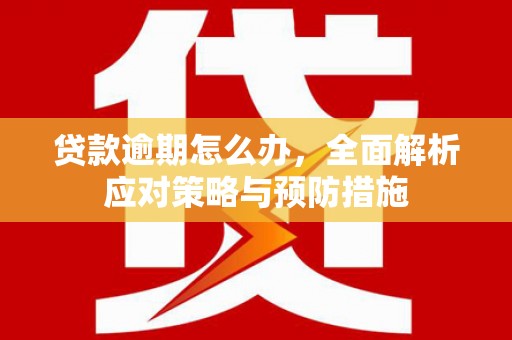 普陀贷款逾期怎么办，全面解析应对策略与预防措施