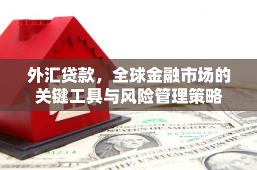 普陀外汇贷款，全球金融市场的关键工具与风险管理策略