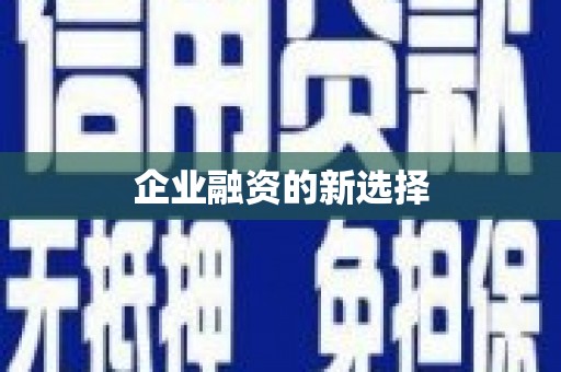 普陀企业融资的新选择