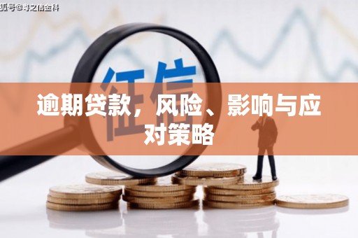 普陀逾期贷款，风险、影响与应对策略