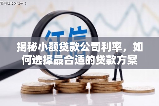 普陀揭秘小额贷款公司利率，如何选择最合适的贷款方案