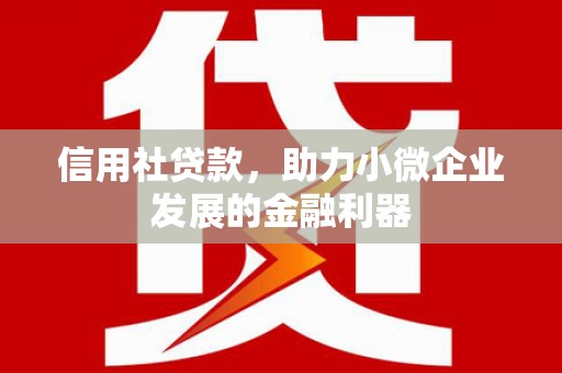 普陀信用社贷款，助力小微企业发展的金融利器
