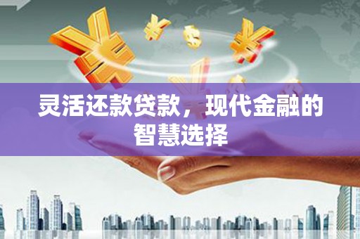 普陀灵活还款贷款，现代金融的智慧选择