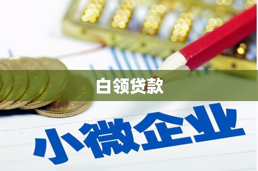 普陀白领贷款