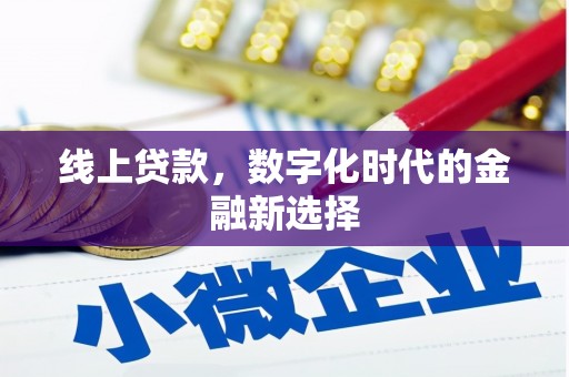 普陀线上贷款，数字化时代的金融新选择