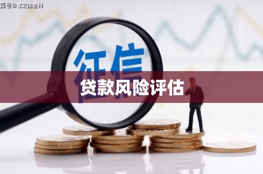 普陀贷款风险评估