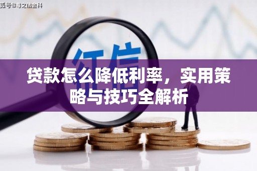 普陀贷款怎么降低利率，实用策略与技巧全解析