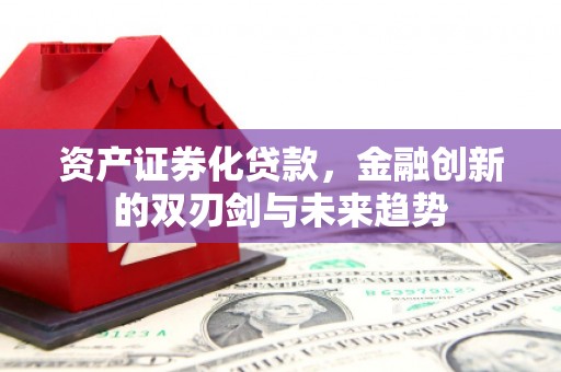 普陀资产证券化贷款，金融创新的双刃剑与未来趋势