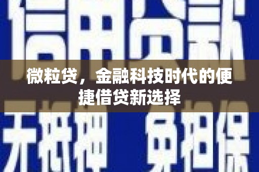 普陀微粒贷，金融科技时代的便捷借贷新选择