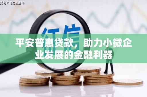 普陀平安普惠贷款，助力小微企业发展的金融利器
