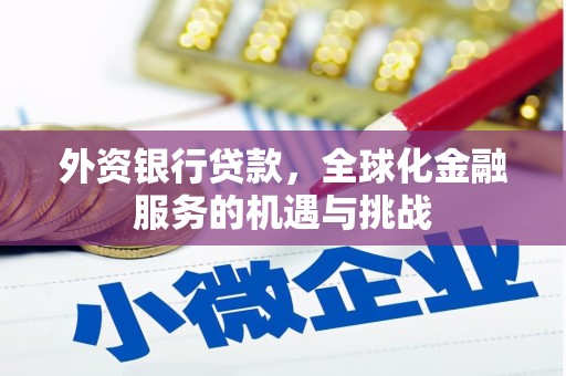 普陀外资银行贷款，全球化金融服务的机遇与挑战