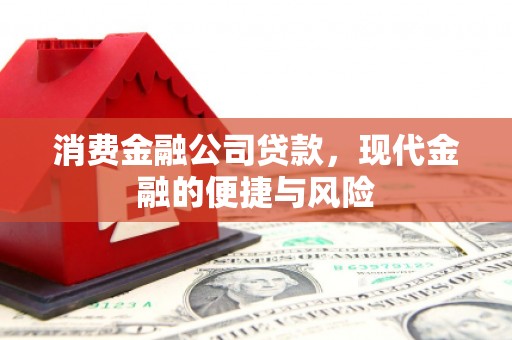 普陀消费金融公司贷款，现代金融的便捷与风险
