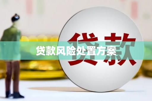 普陀贷款风险处置方案