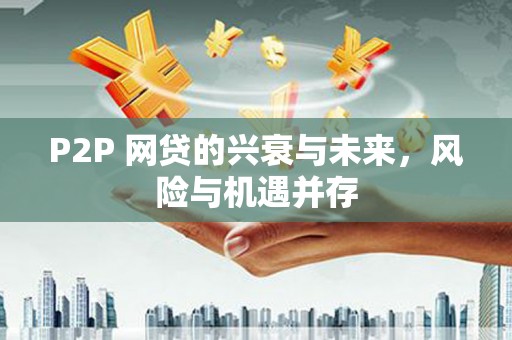 普陀P2P 网贷的兴衰与未来，风险与机遇并存