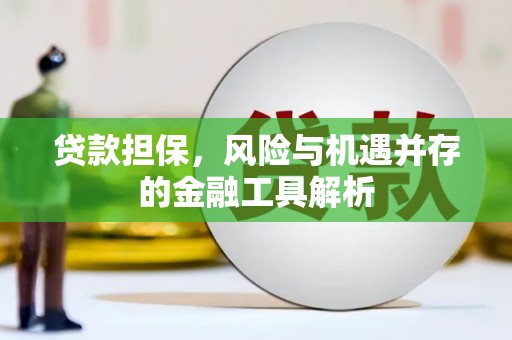 普陀贷款担保，风险与机遇并存的金融工具解析