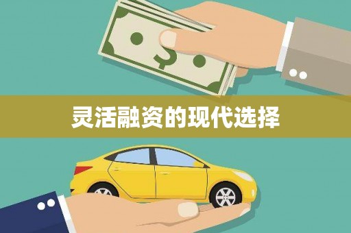 普陀灵活融资的现代选择
