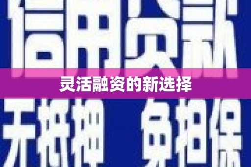 普陀灵活融资的新选择