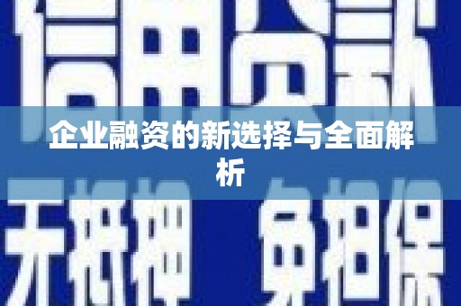 普陀企业融资的新选择与全面解析