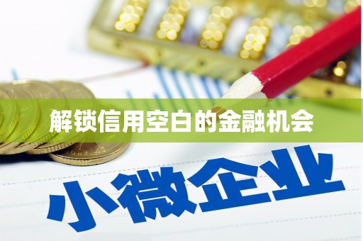 普陀解锁信用空白的金融机会