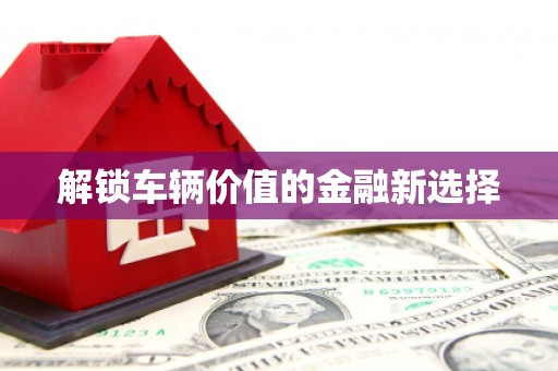 普陀解锁车辆价值的金融新选择