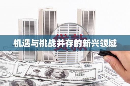 普陀机遇与挑战并存的新兴领域