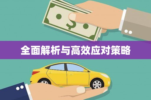 普陀全面解析与高效应对策略
