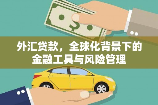 普陀外汇贷款，全球化背景下的金融工具与风险管理