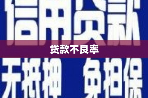 普陀贷款不良率