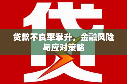 普陀贷款不良率攀升，金融风险与应对策略